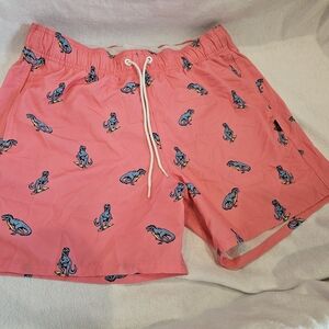 Hollister Pink Swim Trunks with Dinosaur Print
